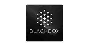 blackbox AI